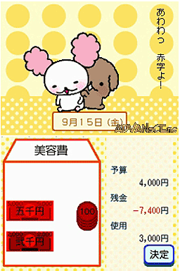 Doko Demo Raku Raku! Ds Kakeibo screenshot 2 for Nintendo DS
